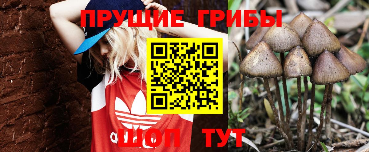 Псилоцибиновые грибы GOLDEN TEACHER  Вход с VPN  Острогожск  Галлюциногенные грибы MAGIC MUSHROOMS 